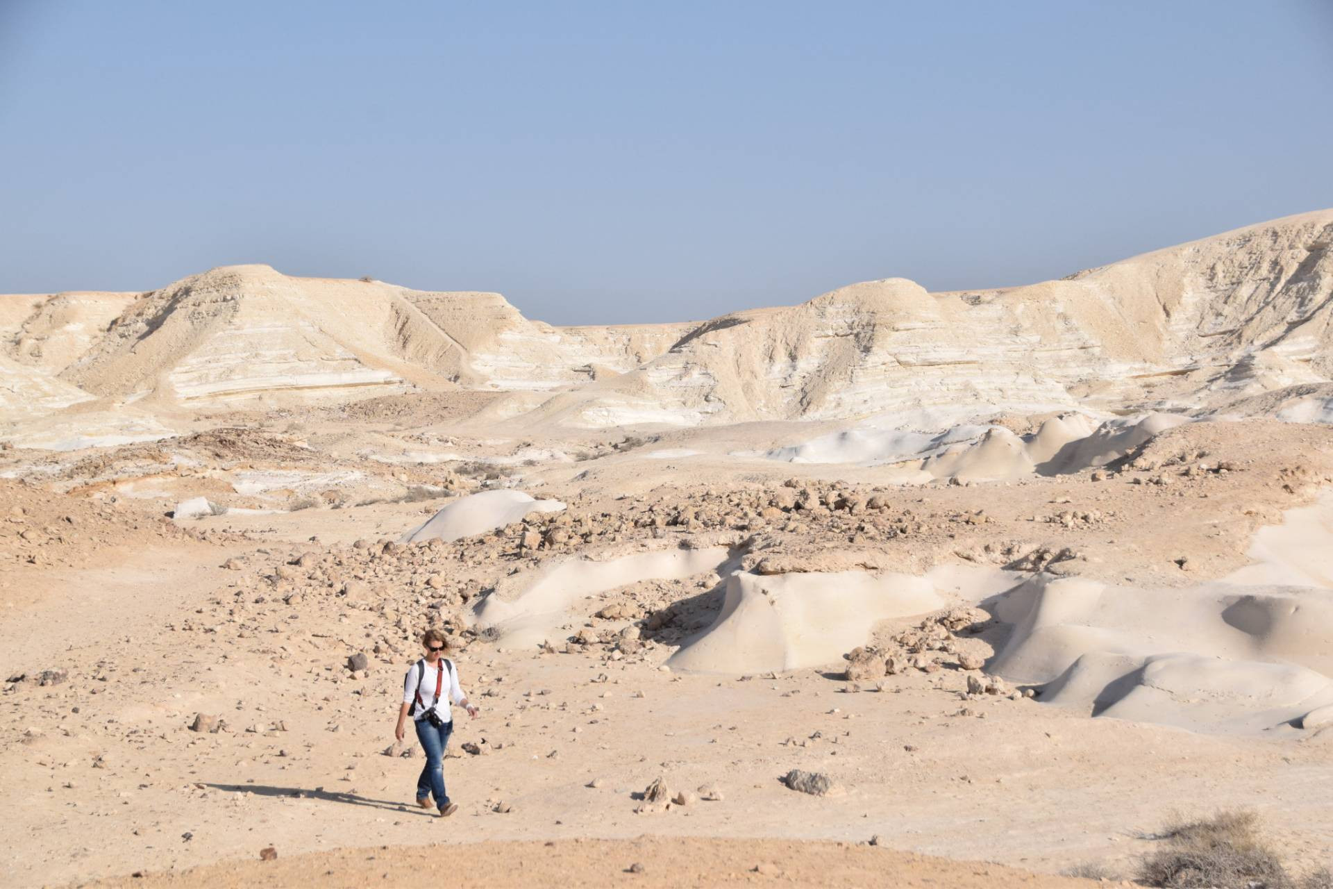 חמוקי ניצנה.jpg