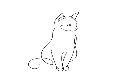איך מציירים חתול