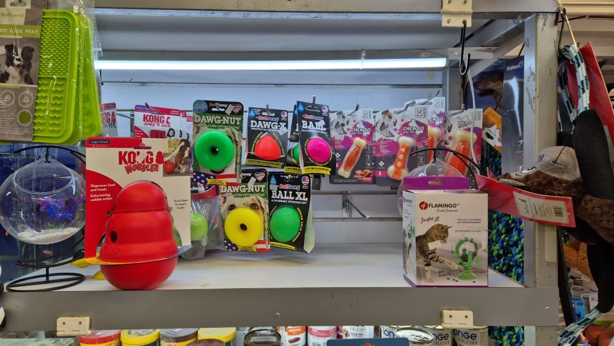 צעצועי לעיסה וקונגו