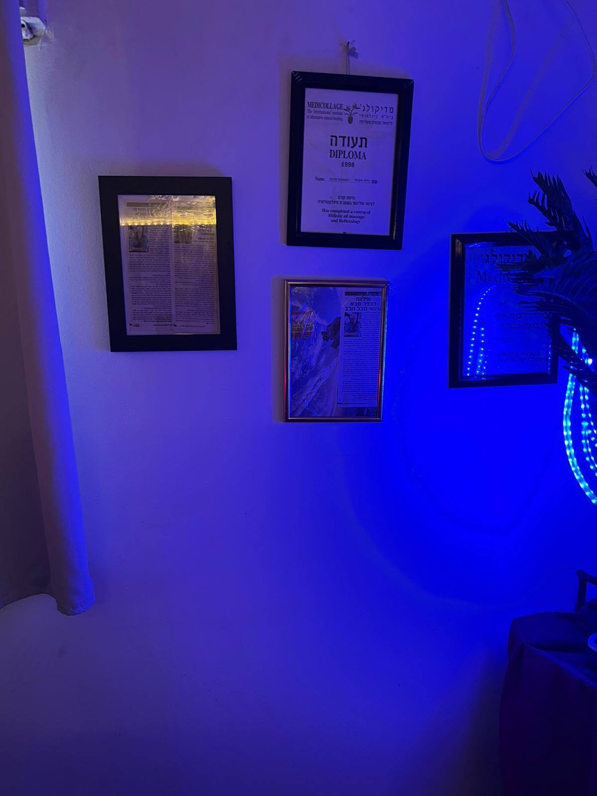 תעודות של אילנה עמנואל.jpeg תעודות של אילנה עמנואל