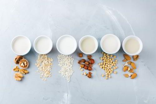 מגוון תחליפי חלב ממקורות שונים