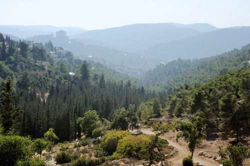 יער ירושלים