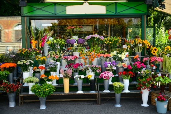 בחירת חנות פרחים