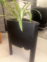 User upload