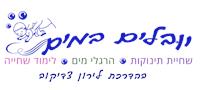 User upload