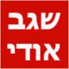הלוגו של א.שגב מיזוג אויר | טכנאי מזגנים | הוד השרון